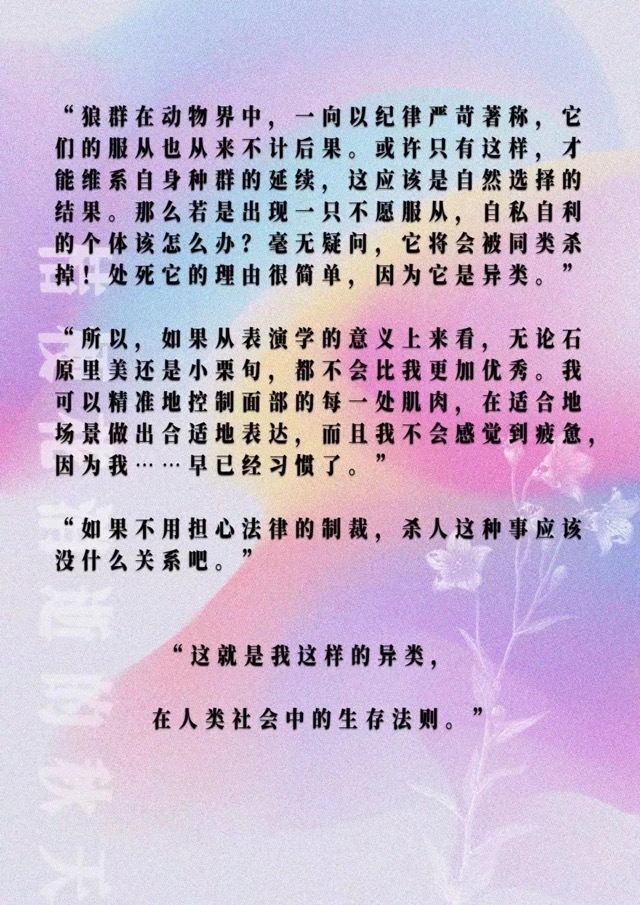 桔梗花消逝的秋天